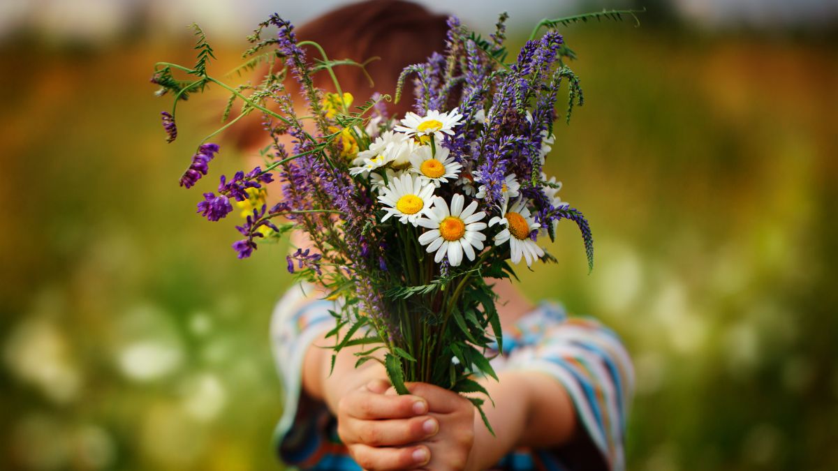 Little Flowers